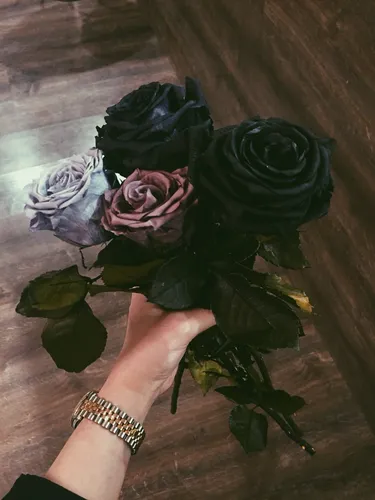 Черная Роза Обои на телефон рука с букетом цветов