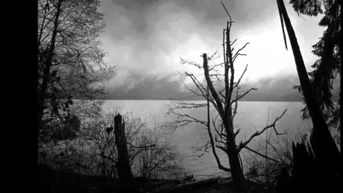 Black Metal Обои на телефон озеро с деревьями и облачным небом