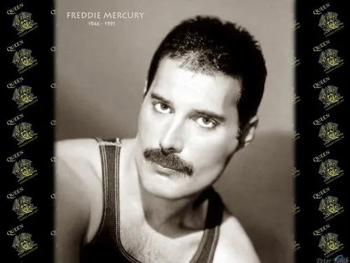 Фредди Меркури, Freddie Mercury Обои на телефон в высоком качестве