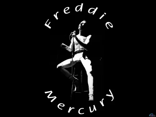 Freddie Mercury Обои на телефон диаграмма