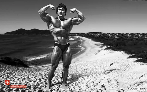 Фрэнк Зейн, Арнольд Шварценеггер Обои на телефон человек, сгибающий мышцы на пляже