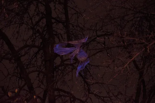 Эстетика Фото фиолетовый дракон, летящий по воздуху