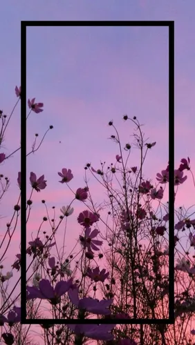 Эстетика Фото дерево с фиолетовыми цветами