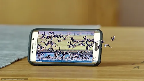 Бесплатные Самсунг Обои на телефон мобильный телефон с группой птиц на экране