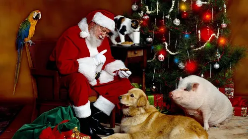 Дед Мороз Обои на телефон человек в костюме санты с двумя собаками на красном кресле