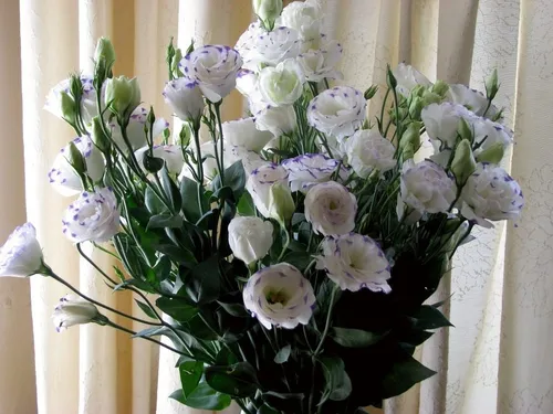 Эустома Фото букет белых цветов