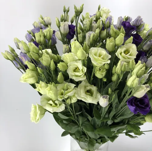 Эустома Фото ваза с цветами