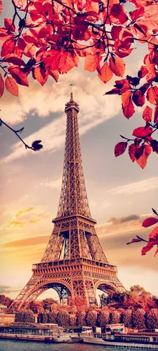Исторические Обои на телефон большая башня с красными листьями на фоне Эйфелевой башни