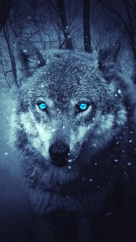 Картинки Волк Обои на телефон волк в снегу