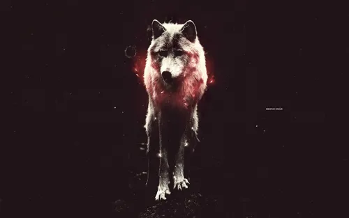 Картинки Волк Обои на телефон волк, стоящий в темноте