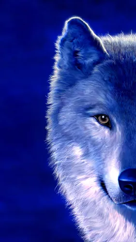 Картинки Волк Обои на телефон белый волк с желтыми глазами