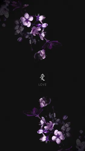 Картинки Цветы Обои на телефон черный фон с белыми и фиолетовыми цветами
