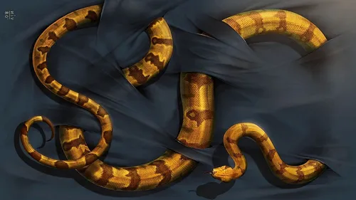 Кобра Обои на телефон змея с длинным хвостом