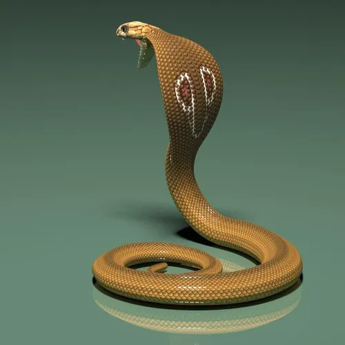 Кобра Обои на телефон змея со змеиной головой
