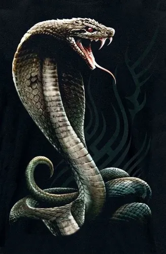 Кобра Обои на телефон змея с открытым ртом