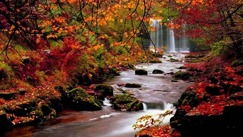 Красивые Осень Обои на телефон река с деревьями вокруг нее