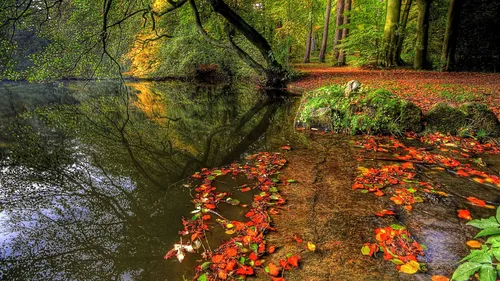 Красивые Осень Обои на телефон река с небольшим водопадом