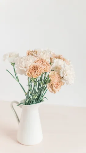 Красивые Светлые Обои на телефон ваза с белыми цветами