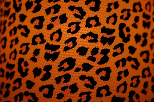 Леопардовый Принт Обои на телефон фото на Samsung