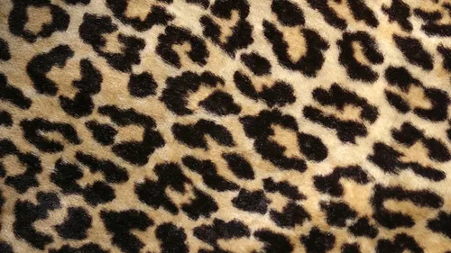 Леопардовый Принт Обои на телефон одеяло крупным планом