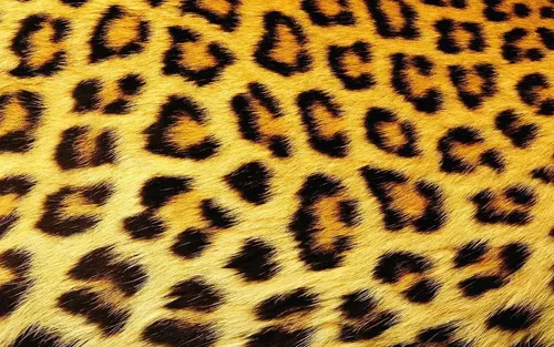 Леопардовый Принт Обои на телефон крупный план пустыни