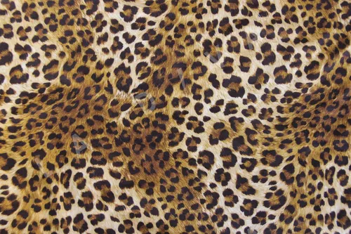 Леопардовый Принт Обои на телефон крупный план поверхности