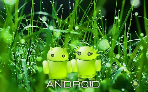 На Андроид Телефон Обои на телефон группа зеленых лягушек в траве