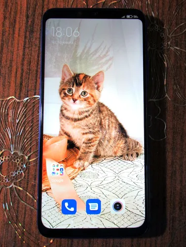 2340Х1080 Обои на телефон кошка сидит на планшете