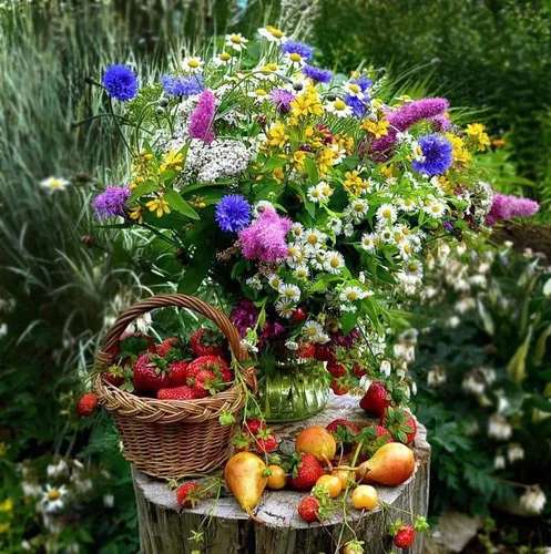 Август Обои на телефон корзины цветов и растений
