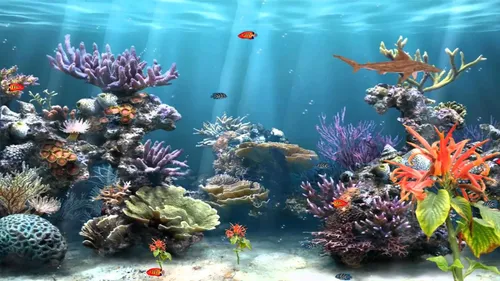 Аквариум Обои на телефон аквариум с растениями и рыбой