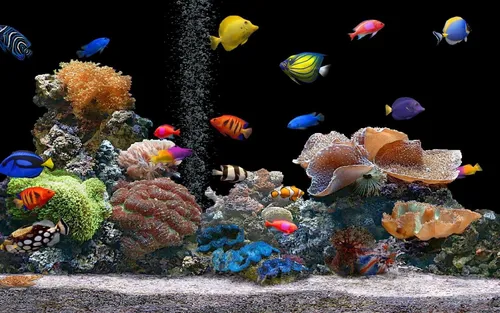 Аквариум Обои на телефон косяк рыб, плавающих в аквариуме