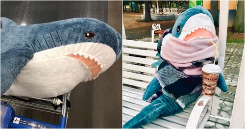 Акула Из Икеи Обои на телефон птица в шапке и шарфе