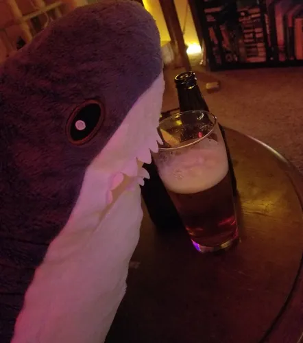 Акула Из Икеи Обои на телефон мягкая игрушка рядом с бокалом пива