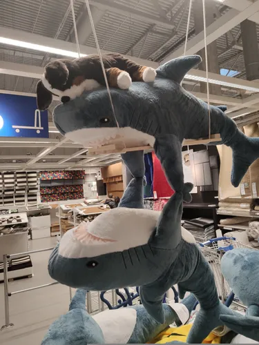 Акула Из Икеи Обои на телефон группа поддельных животных в магазине