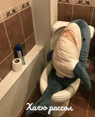 Акула Из Икеи Обои на телефон человек в синей толстовке на унитазе