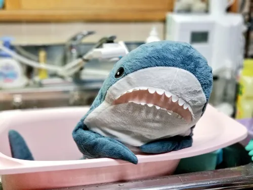 Акула Из Икеи Обои на телефон мягкая игрушка в раковине