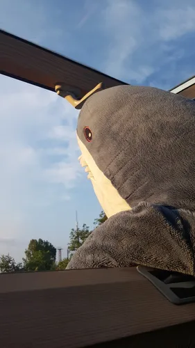 Акула Из Икеи Обои на телефон мягкая игрушечная птичка