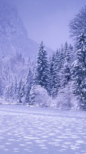 Аниме Зима Обои на телефон снежный пейзаж с деревьями и горами
