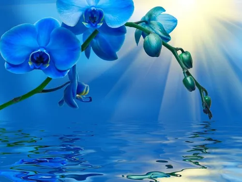 В Синих Тонах Обои на телефон голубые цветы в воде
