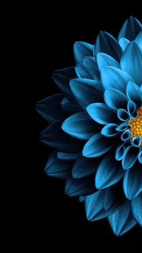 В Синих Тонах Обои на телефон цветок крупным планом