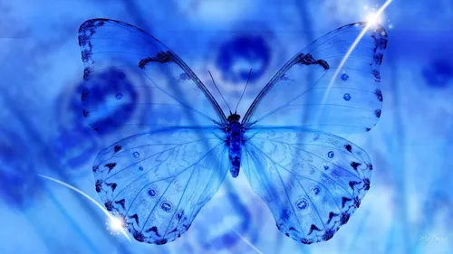 В Синих Тонах Обои на телефон голубая бабочка с белыми пятнами