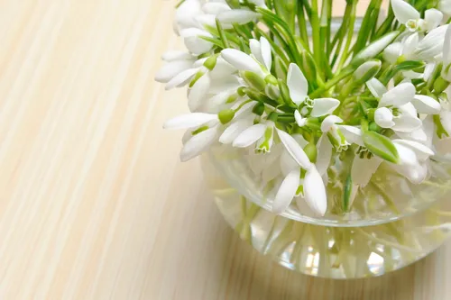 Весна Цветы Обои на телефон ваза с белыми цветами
