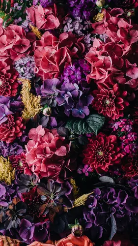 Винтаж Обои на телефон группа разноцветных цветов