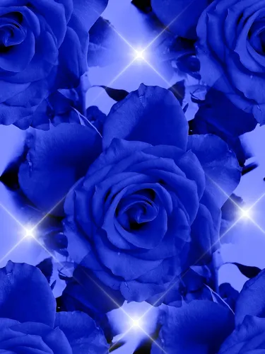 Голубой Обои на телефон крупный план синего цветка