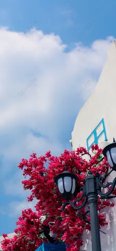 Греция Обои на телефон уличный фонарь с цветами
