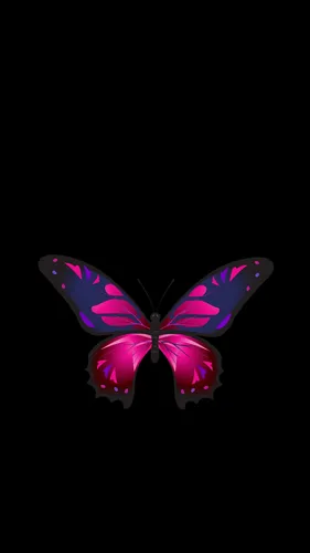 Крылья Обои на телефон фиолетовый и розовый цветок