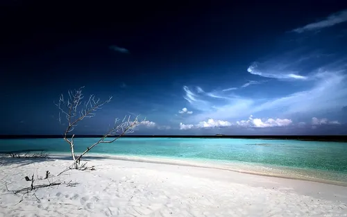 Море Hd Обои на телефон пляж со снегом и деревом
