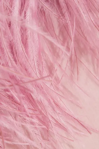 Перья Обои на телефон крупным планом из розовой ткани