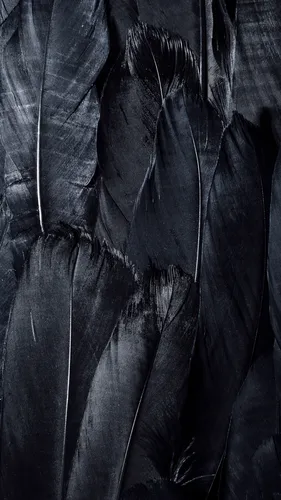 Перья Обои на телефон крупным планом из черной ткани