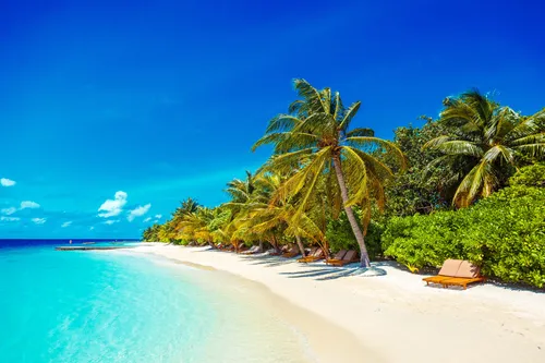 Мальдивы Фото пляж с пальмами и голубой водой